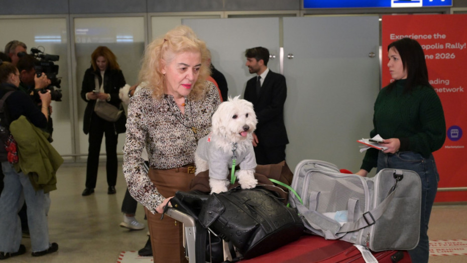 "Moj mačak je moja porodica": Specijalni grčki let za evakuaciju vlasnika i kućnih ljubimaca sa Bliskog istoka (FOTO)