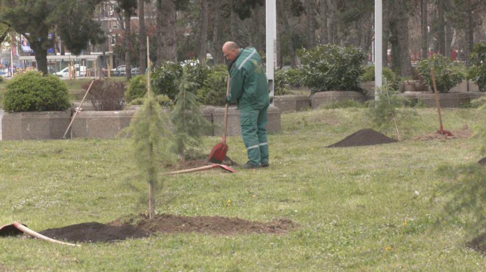 Spoj sporta i ekologije: U susret 39. Beogradskom maratonu organizovana akcija sadnje novih stabala