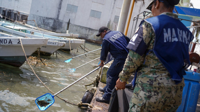 Nafta izlivena u Meksičkom zalivu zbog prirodnih i ljudskih uzroka