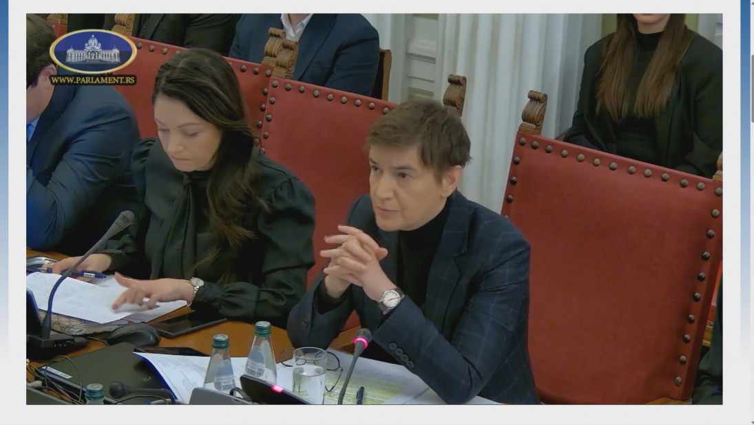 Brnabić: Biljana Đorđević (ZLF) mi je rekla da njima nije u interesu da mi usvajamo evropske zakone