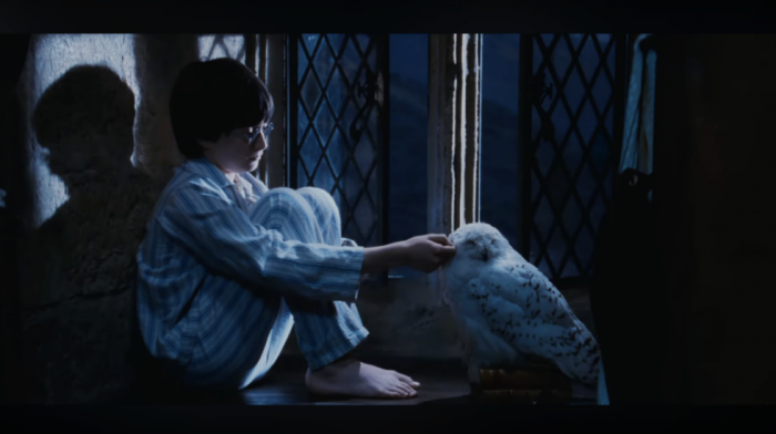 Sova Harija Potera među 40 migratornih vrsta koje su ove godine stavljene pod zaštitu