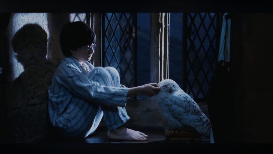 Sova Harija Potera među 40 migratornih vrsta koje su ove godine stavljene pod zaštitu