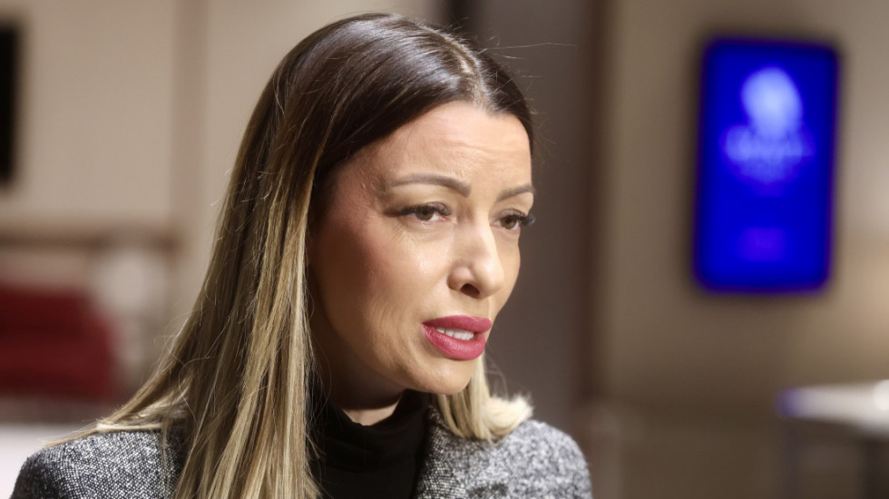 Mesarović sa ambasadorima EU o prevazilaženju problema profesionalnih vozača