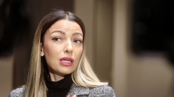 Mesarović: Delegacija Srbije u Srpskoj zbog zajedničkog napretka i izgradnje