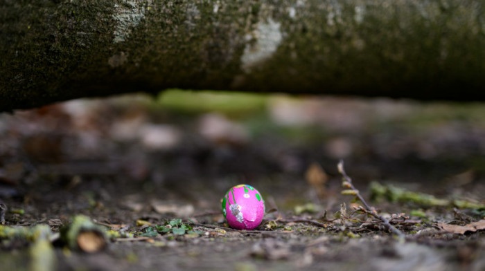 Ljudska lobanja pronađena tokom potrage za uskršnjim jajima u parku u Kaliforniji
