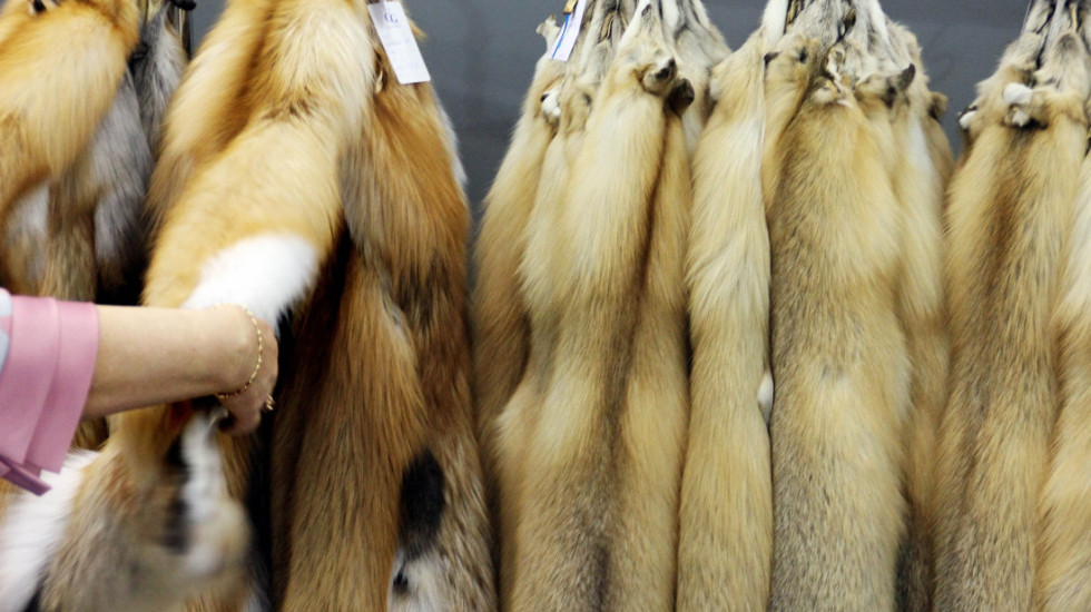 Od farmi do piste: Pozivi na zabranu industrije krzna u EU razbuktavaju debatu aktivista i mode