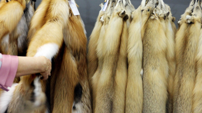 Od farmi do piste: Pozivi na zabranu industrije krzna u EU razbuktavaju debatu aktivista i mode