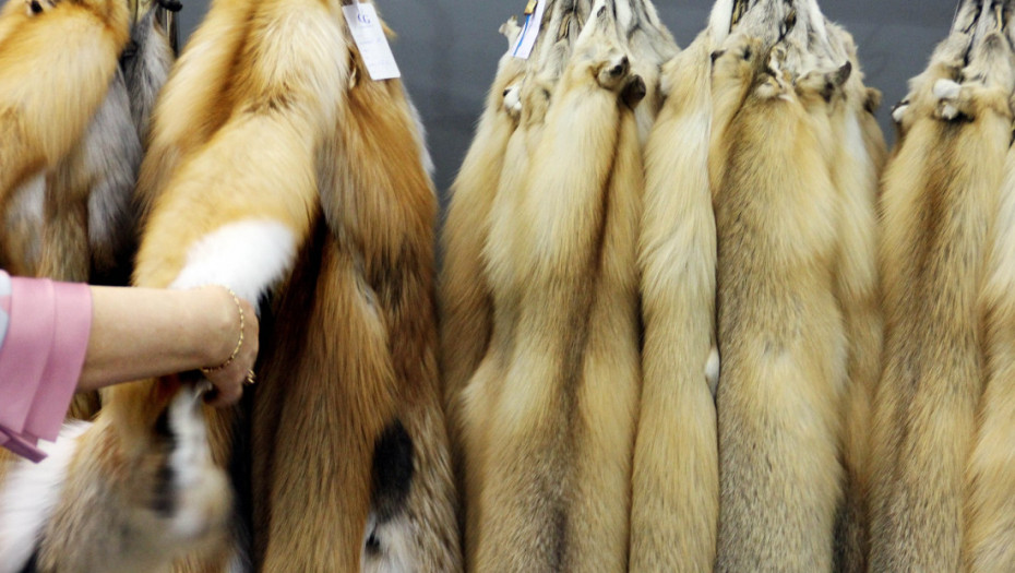 Od farmi do piste: Pozivi na zabranu industrije krzna u EU razbuktavaju debatu aktivista i mode