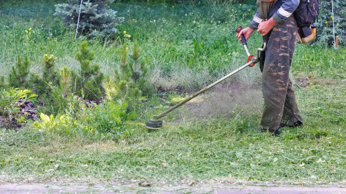 Košenje zelenih površina u Beogradu: Počeo najobimniji segment rada JKP "Zelenilo-Beograd"