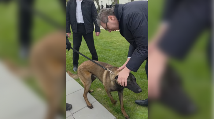 Vučić: Milutin je takođe "Kobra" - neumoljiv, opasan i beskrajno odan (VIDEO)
