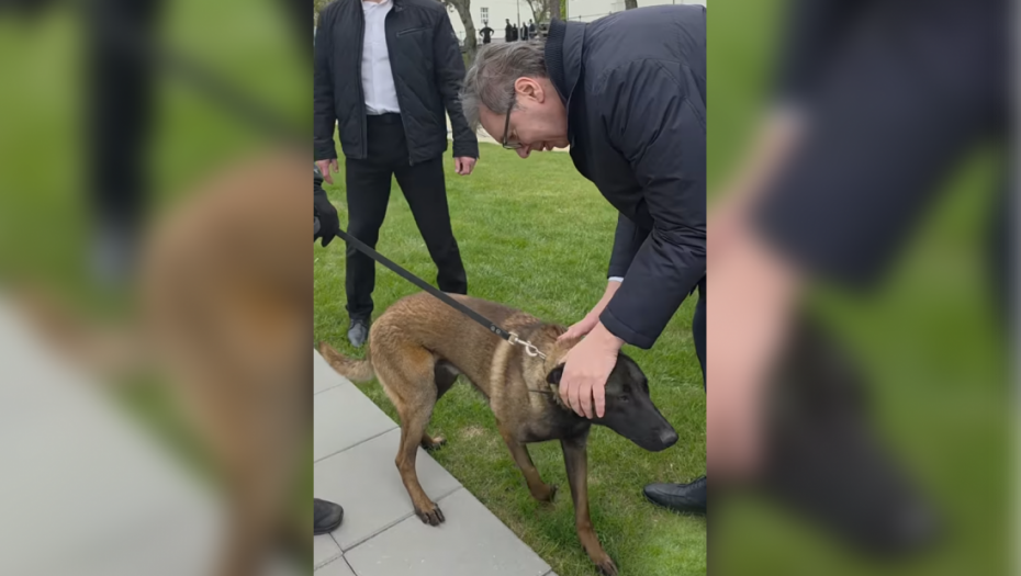 Vučić: Milutin je takođe "Kobra" - neumoljiv, opasan i beskrajno odan (VIDEO)