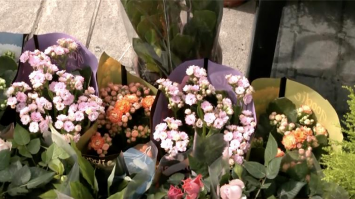 "Beogradsko proleće": Izložba cveća i biljaka u parku Manjež (VIDEO)