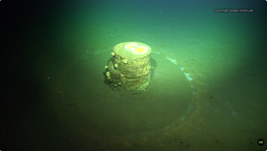 Alarmantno otkriće na dnu Tihog okeana: Misterija podvodne “deponije smrti” kod Los Anđelesa