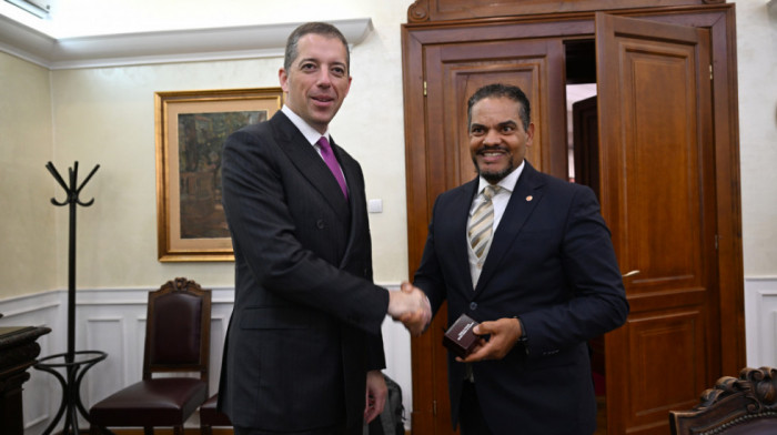 Đurić razgovarao sa zamenikom ministra za međunarodne odnose Republike Južne Afrike