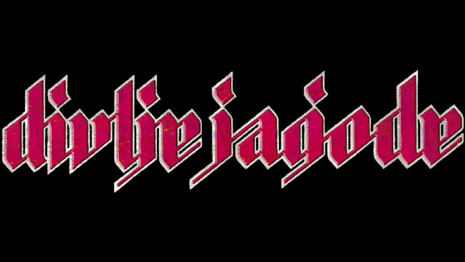 Preminuo Nihad Jusufhodžić, jedan od osnivača grupe Divlje jagode