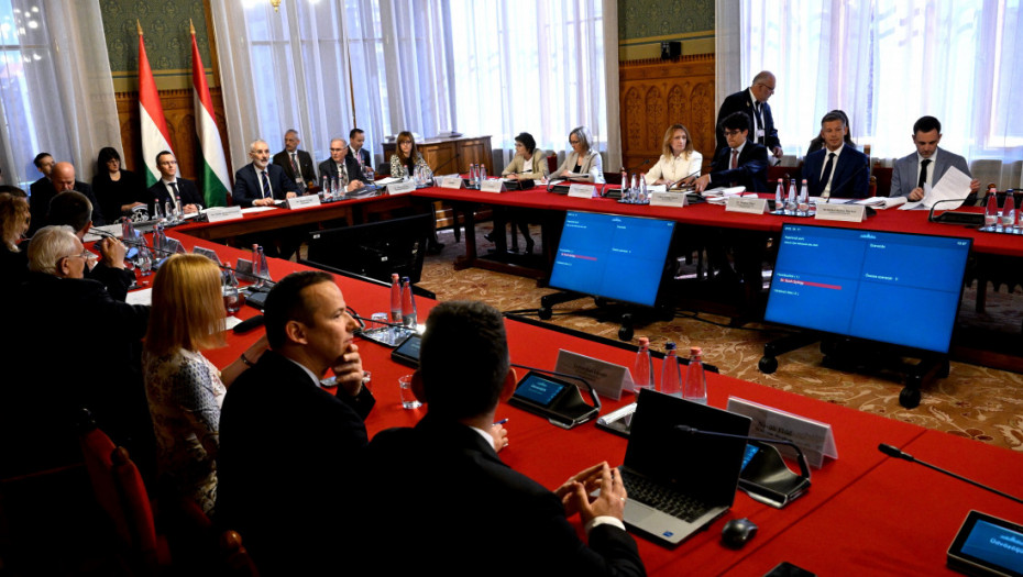 Izbori u Mađarskoj: TISA osvojila nove mandate nakon prebrojavanja glasova