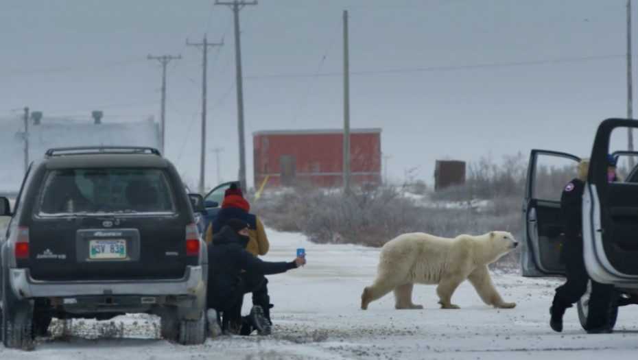 Festival Beldocs donosi izbor dokumentarnih filmova o odnosu ljudi i životinja