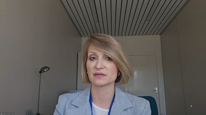 Srpska delegacija na sednici Saveta Evrope: Biljana Pantić Pilja za Euronews Srbija o izbornom procesu na KiM