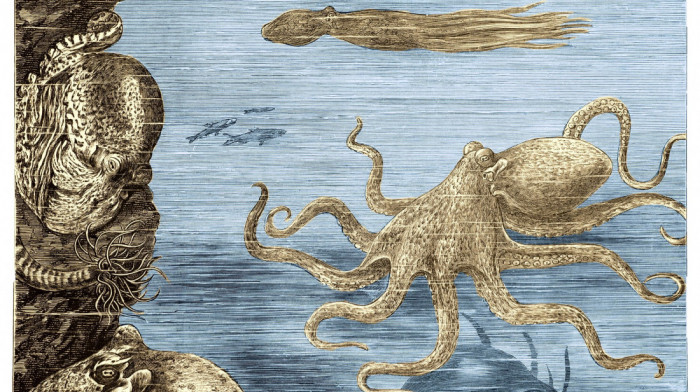 Otkriveni ostaci drevnih hobotnica, tako velikih, da su lovile pretke kitova