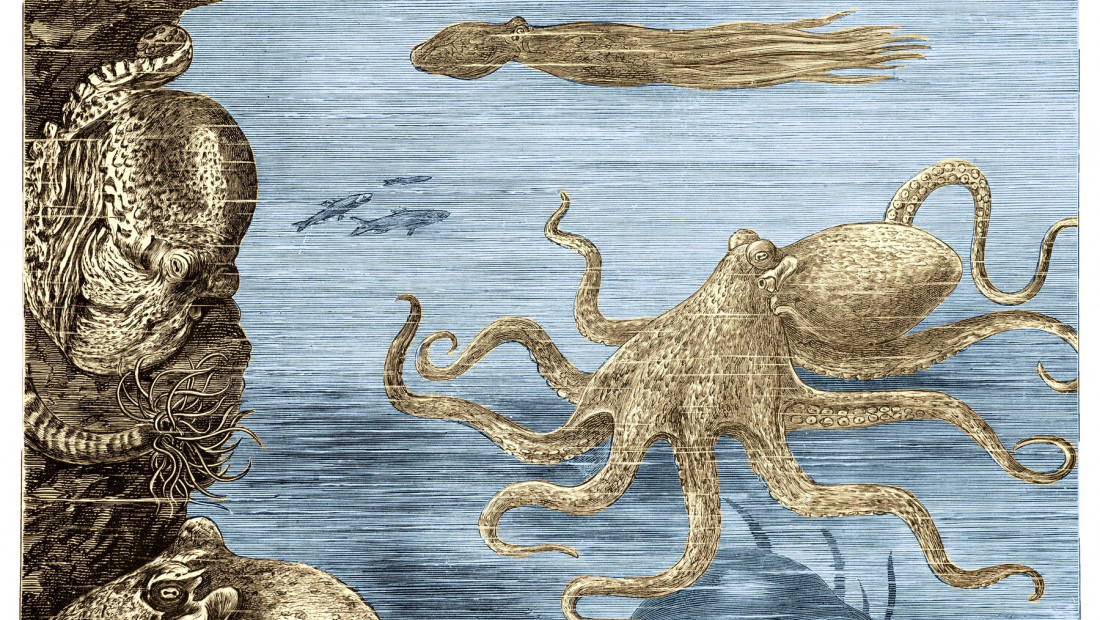 Otkriveni ostaci drevnih hobotnica, tako velikih, da su lovile pretke kitova