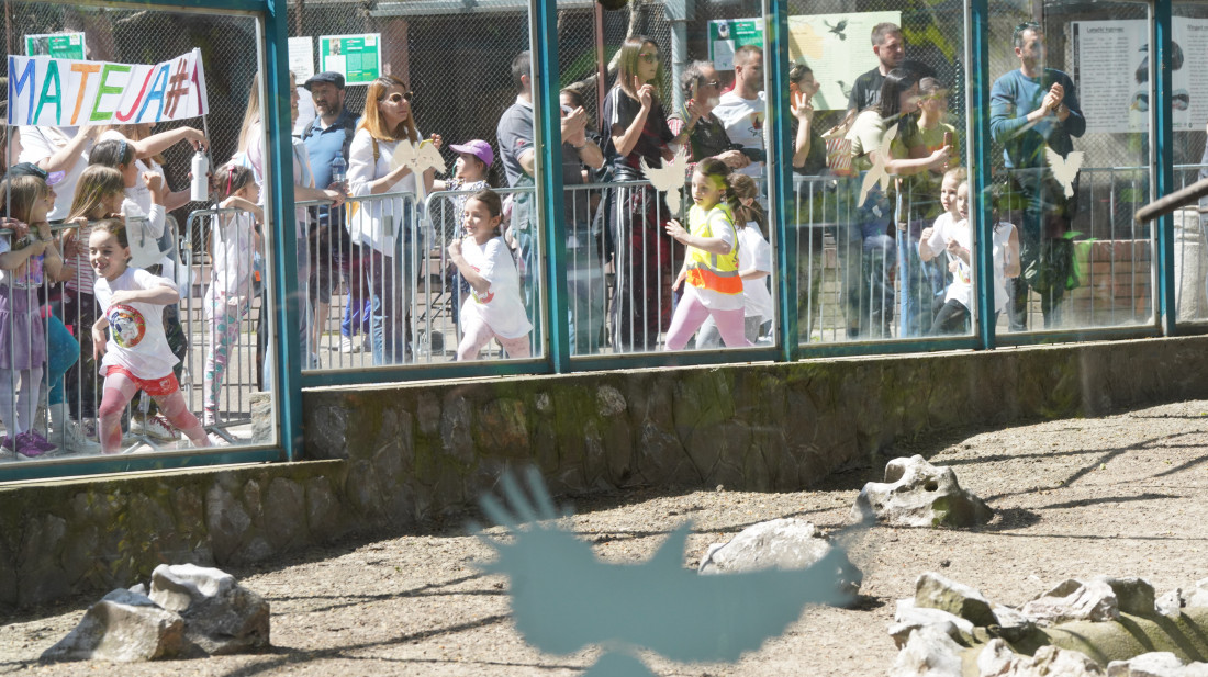Veljko Petrović iz vrtića "Maštarija" pobednik 30. Dečjeg maratona