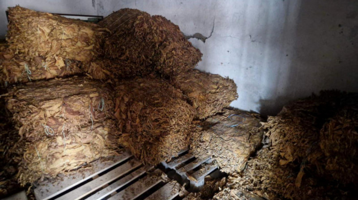 Hapšenje u Rumi: Zaplenjeno pola tone duvana u listu, budžet oštećen za 4,4 miliona dinara (FOTO)