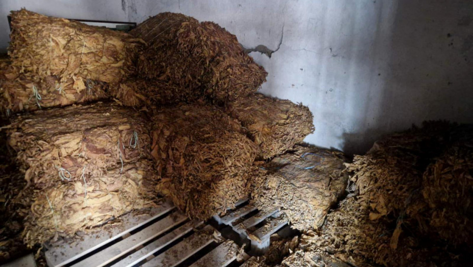 Hapšenje u Rumi: Zaplenjeno pola tone duvana u listu, budžet oštećen za 4,4 miliona dinara (FOTO)