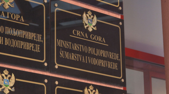 U Crnoj Gori dogovoreno da se višak mleka izveze u region: Proizvođači oprezni - reč o problemu koji se ponavlja