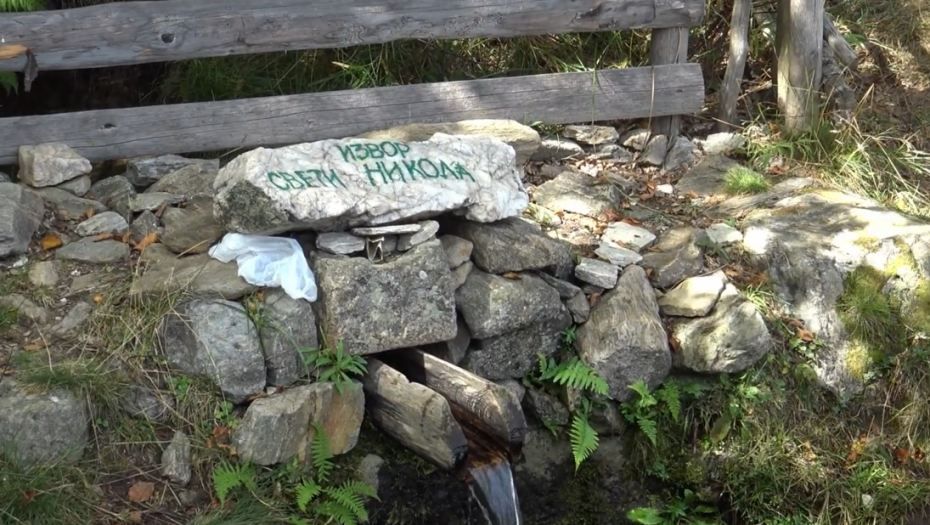 Na Vlasinskoj visoravni pronađena alga koja je poslednji put u prirodi viđena pre skoro 50 godina