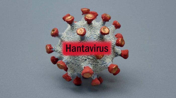 Koliko je opasan hantavirus, uzročnik bolesti koja je odnela tri života na polarnom kruzeru