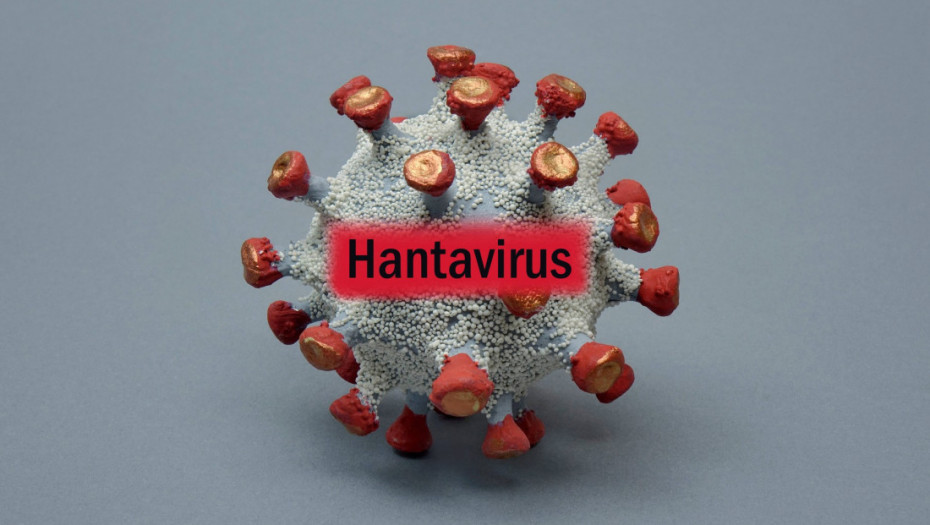 Koliko je opasan hantavirus, uzročnik bolesti koja je odnela tri života na polarnom kruzeru