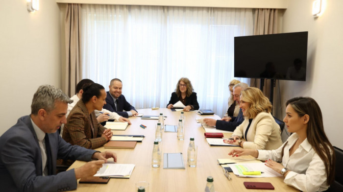 Paunović sa MMF-om: Pojednostavljenje zapošljavanja u državnoj upravi