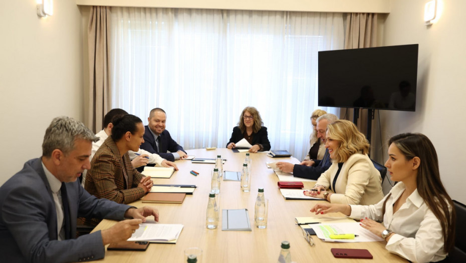 Paunović sa MMF-om: Pojednostavljenje zapošljavanja u državnoj upravi