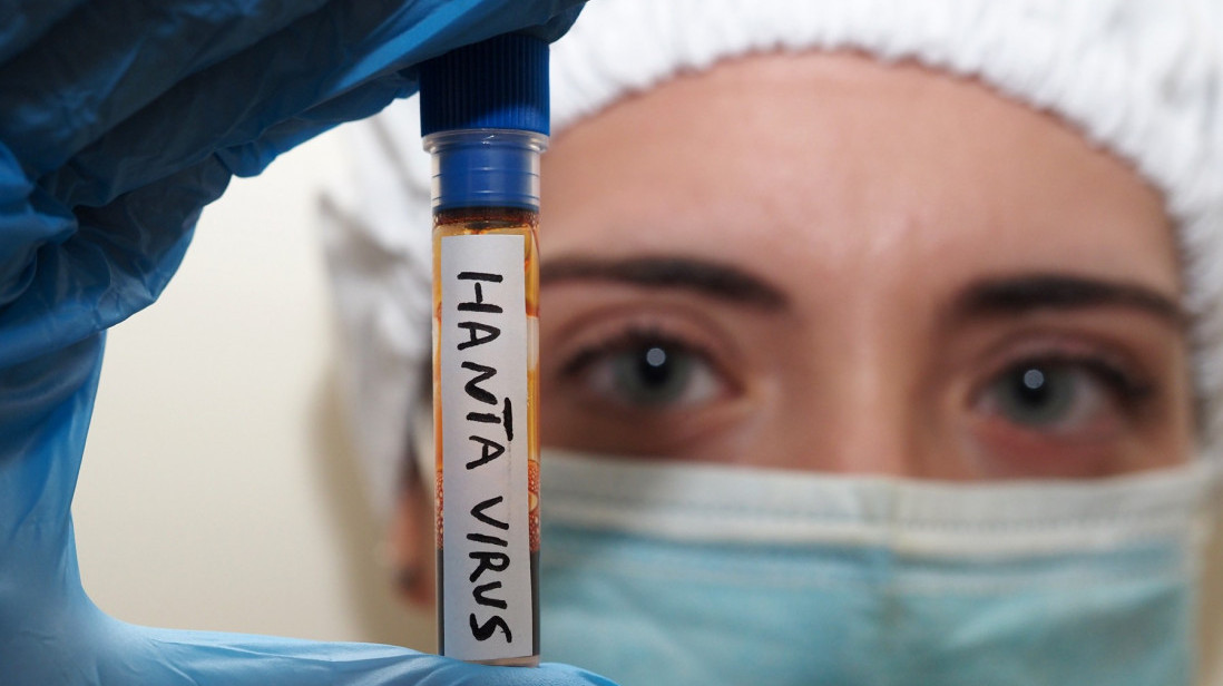 Epidemiolog o načinu prenošenja virusa: Da li postoji opasnost od širenja hantavirusa na opštu populaciju?