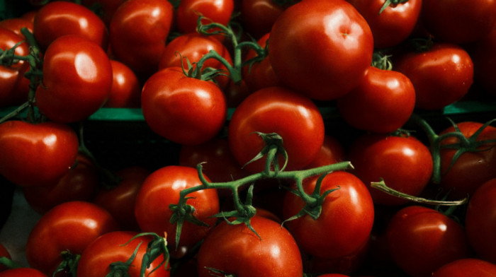 Tri decenije od prve GMO namirnice: Kako je "Flavr Savr" paradajz otvorio Pandorinu kutiju