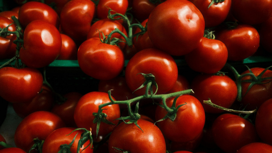 Tri decenije od prve GMO namirnice: Kako je "Flavr Savr" paradajz otvorio Pandorinu kutiju