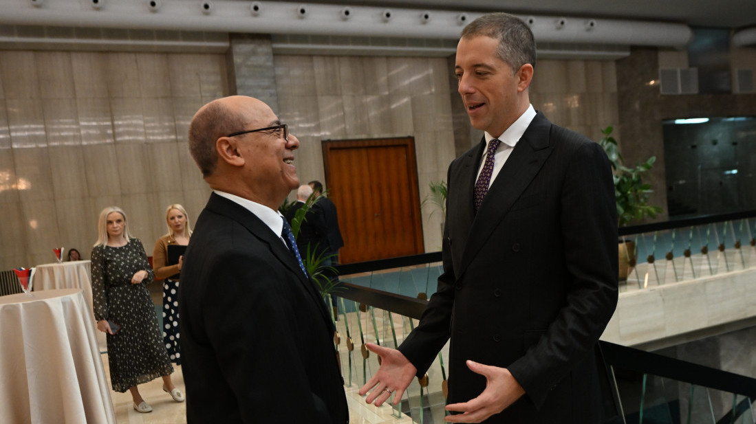 Đurić: Zahvalnost afričkim zemljama na podršci teritorijalnom integritetu Srbije