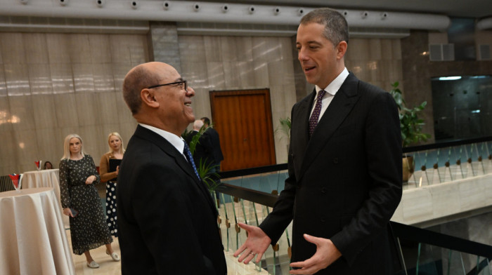 Đurić: Zahvalnost afričkim zemljama na podršci teritorijalnom integritetu Srbije