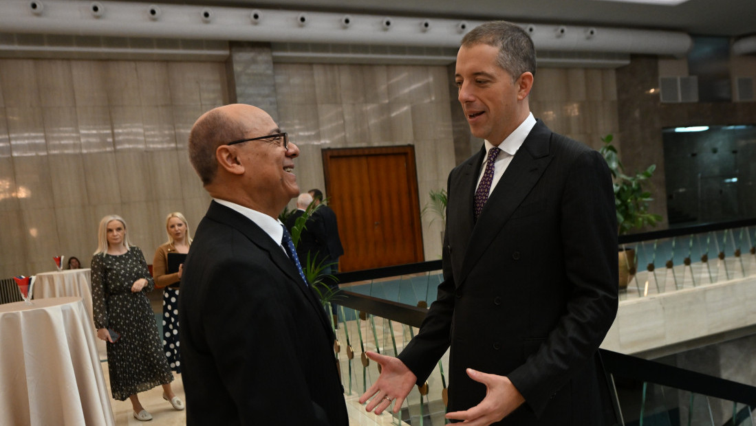Đurić: Zahvalnost afričkim zemljama na podršci teritorijalnom integritetu Srbije
