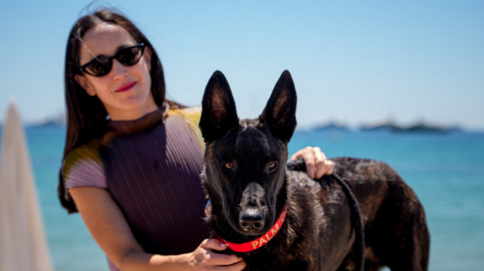 Pseća "Zlatna palma": Juri iz čileanskog filma "La Perra" dobitnica nagrade "Palm Dog" u Kanu