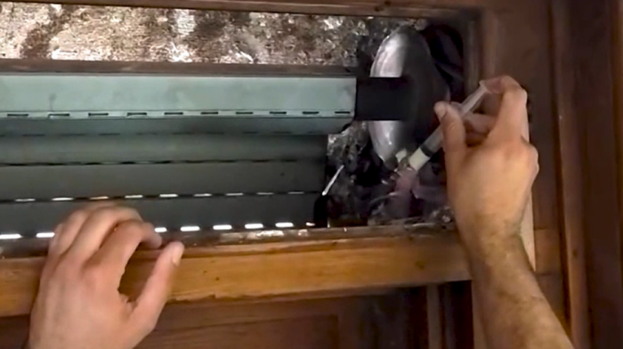 Timovi na terenu hrane mladunce bele čiope (VIDEO)