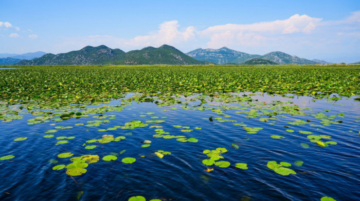 UNESCO proglasio Skadarsko jezero rezervatom biosfere: Istorijski trenutak za Crnu Goru