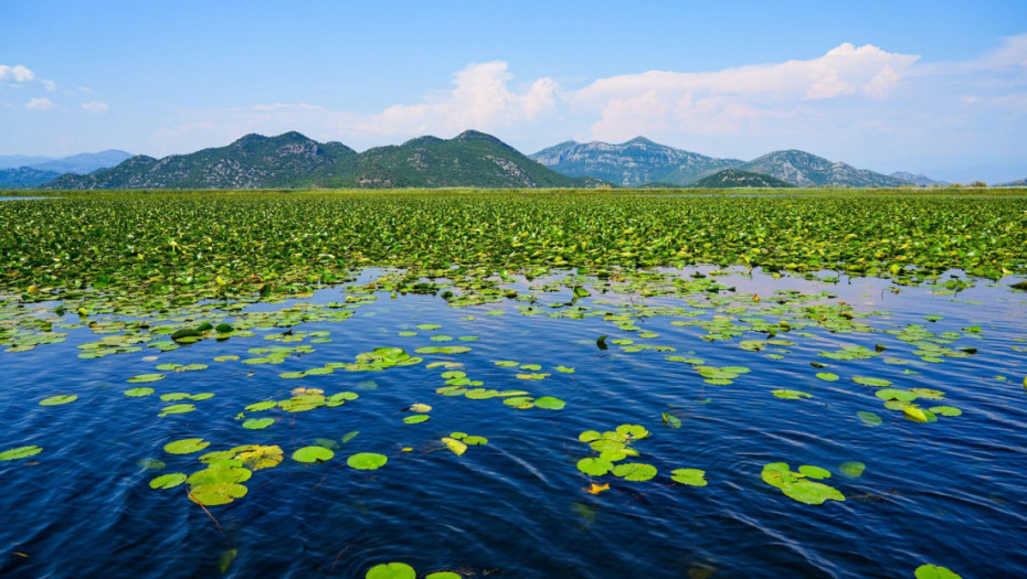 UNESCO proglasio Skadarsko jezero rezervatom biosfere: Istorijski trenutak za Crnu Goru