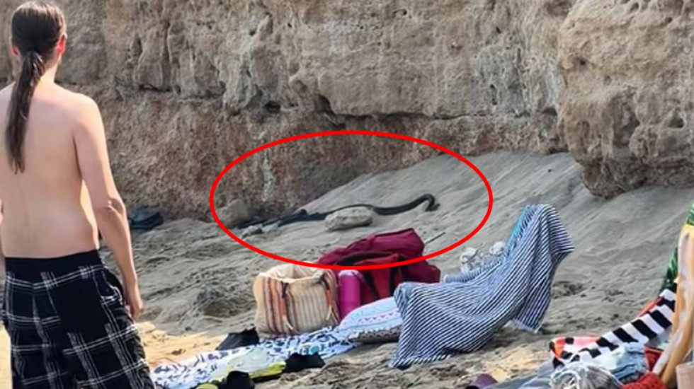 Crne zmije prestravile kupače na plaži popularnog letovališta, snimak obišao društvene mreže (VIDEO)
