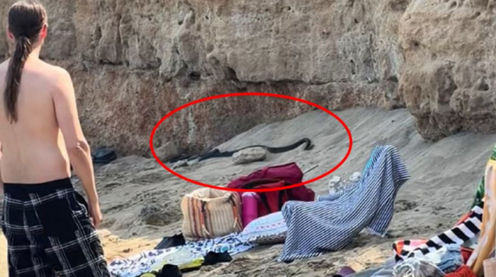 Crne zmije prestravile kupače na plaži popularnog letovališta, snimak obišao društvene mreže (VIDEO)
