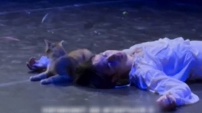Šekspir ovo nije planirao: Mačak ukrao šou baš u dramatičnom finalu predstave "Romeo i Julija" (VIDEO)