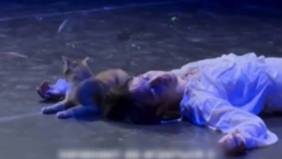 Šekspir ovo nije planirao: Mačak ukrao šou baš u dramatičnom finalu predstave "Romeo i Julija" (VIDEO)