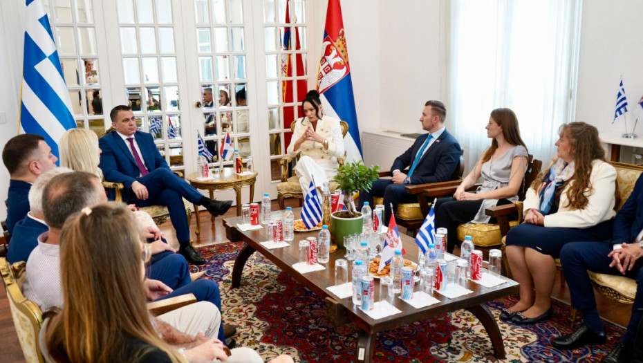 Milićević u Solunu: Deca iz dijaspore se preko tematskih kampova čvrsto vezuju sa maticom
