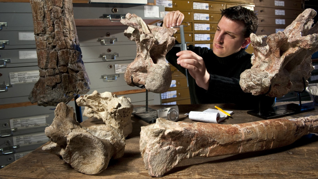 Prva kost dinosaurusa sa Antarktika pronađena u fioci posle 40 godina