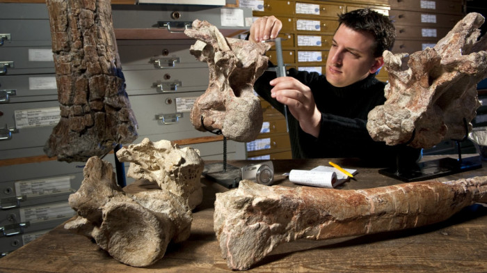 Prva kost dinosaurusa sa Antarktika pronađena u fioci posle 40 godina